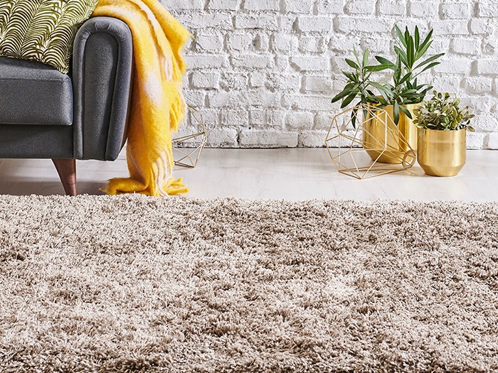 Area Rugs 101